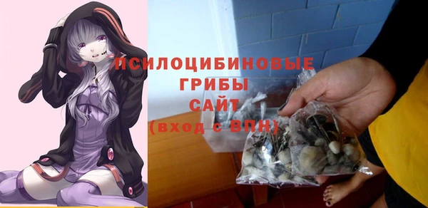 ешки Абаза
