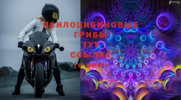 ешки Абаза