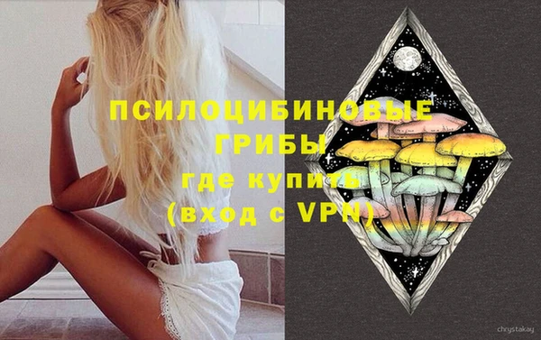 ешки Абаза