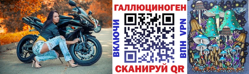 Галлюциногенные грибы Psilocybine cubensis  даркнет сайт  Вытегра 