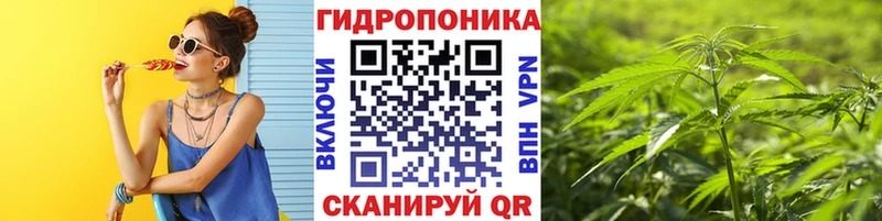 Бошки марихуана AK-47  Вытегра 